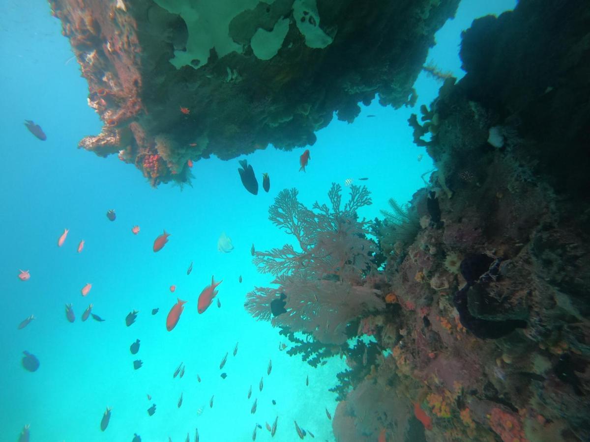 Meos Ambower Homestay Raja Ampat Fam Exterior photo
