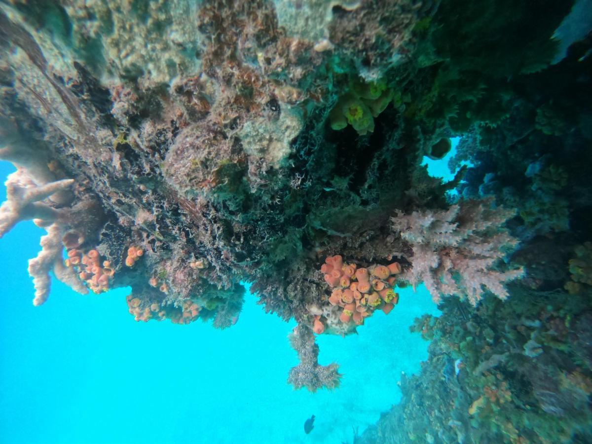 Meos Ambower Homestay Raja Ampat Fam Exterior photo